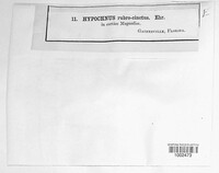Image Associated With the Occurence